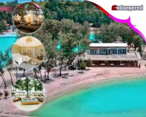Asha Resort Beach Club Pulau Seribu