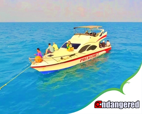 Paket Mancing Kapal Speedboat Pulau Seribu